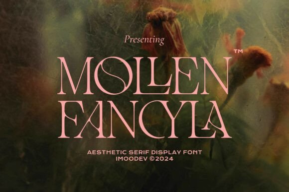 Choosing Mollen Fancyla for a Modern Web Design Project