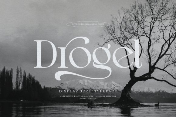 Drogel: A Majestic Serif Font for Editorial Design