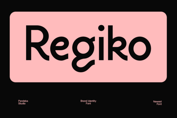 Regiko: A Modern Font for Professional Branding
