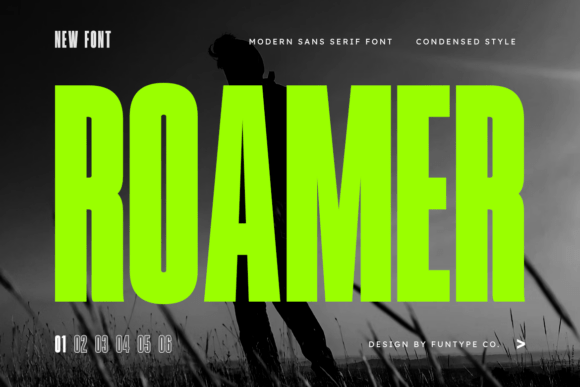 Roamer Font Review for Modern Campaign Design